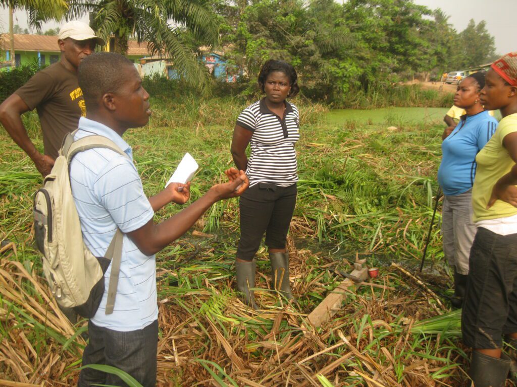 agric extension officer educating farmers on good agricultural practices. sustainable farming, community farming